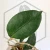 20260527_130946.webp