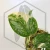 20260527_145534.webp