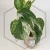 20260527_145536.webp