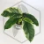 20260527_145823.webp