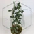 20260527_150112.webp