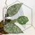 20260527_150241.webp