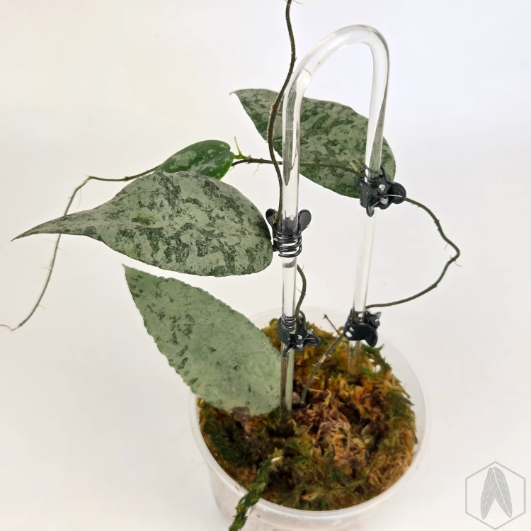 20260527_150307.webp