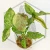 20260527_152033.webp