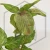 20260527_152043.webp