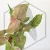 20260527_152324.webp