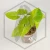 20260527_152504.webp