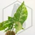 20260527_152620.webp