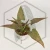 20260527_152801.webp