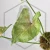 20260527_152835.webp