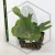 20260528_100421.webp