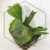 20260528_100425.webp