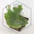 20260528_100429.webp