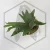 20260528_101423.webp