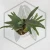20260528_101606.webp