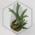 20260528_101803.webp
