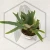 20260528_101836.webp