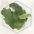 20260528_102357.webp
