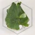 20260528_102405.webp