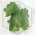20260528_102537.webp