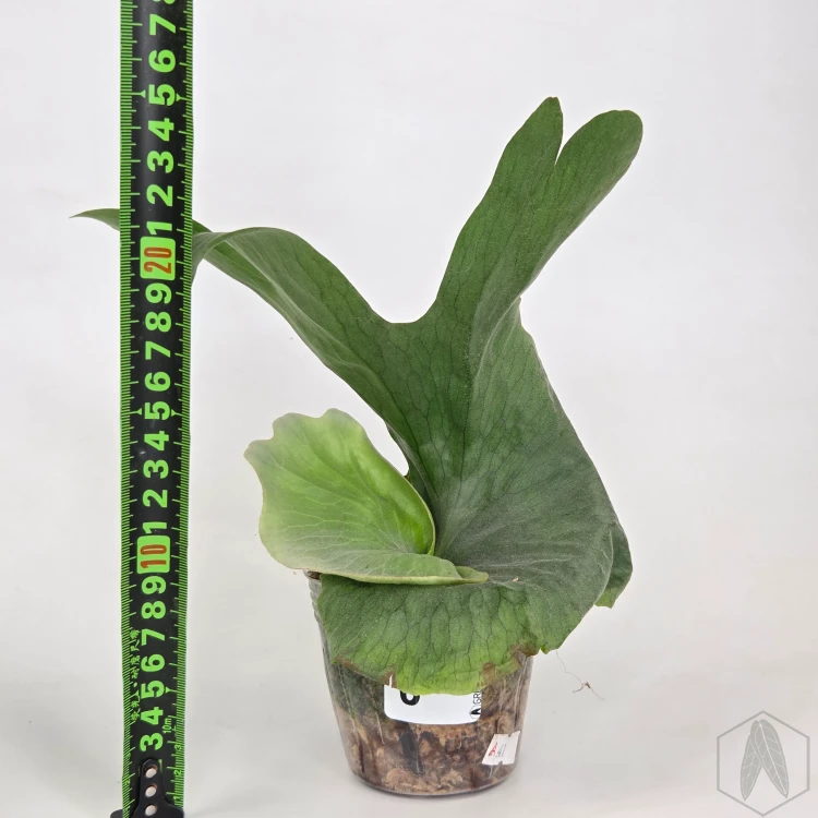 20260528_102930.webp