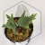 20260528_103414.webp