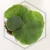 20260528_103514.webp