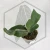 20260528_110037.webp