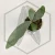 20260528_110043.webp