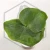 20260528_110236.webp