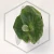 20260528_110404.webp