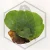 20260528_110414.webp