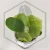 20260528_110755.webp