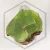 20260528_110844.webp