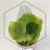 20260528_110849.webp