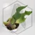 20260528_111052.webp