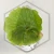 20260528_111546.webp