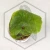 20260528_111556.webp