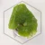 20260528_111702.webp