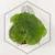 20260528_111746.webp