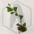 20260528_111839.webp