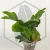 20260528_112229.webp