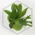 20260528_112313.webp