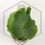 20260528_112519.webp