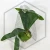 20260528_114449.webp