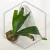 20260528_114612.webp