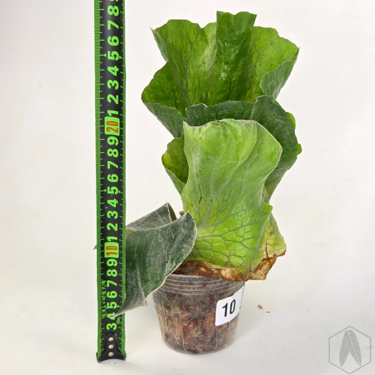 20260528_121858.webp