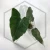 20260528_122427.webp