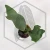 20260528_125142.webp