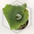 20260528_130040.webp